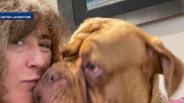 Owner whose dog died in Radcliff woman's care disgusted - Vimarsana News