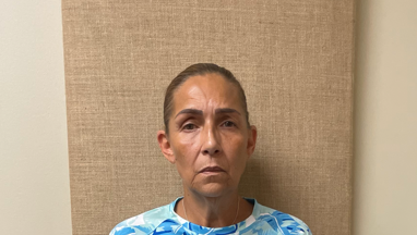 Martin County deputies arrest woman who allegedly dumped dogs in Stuart last month - Vimarsana News