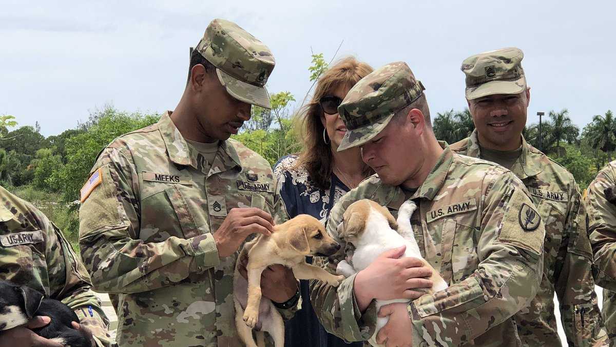 Final mission: More than a dozen soldiers travel to Florida to ...