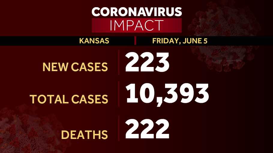 CORONAVIRUS Kansas adds 223 new COVID19 cases to top 10,300 total in