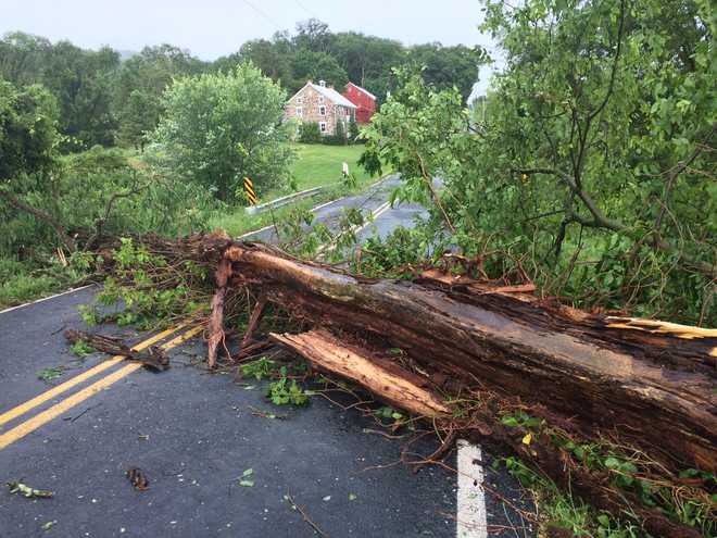 Severe storms move through Susquehanna Valley; Damage reported