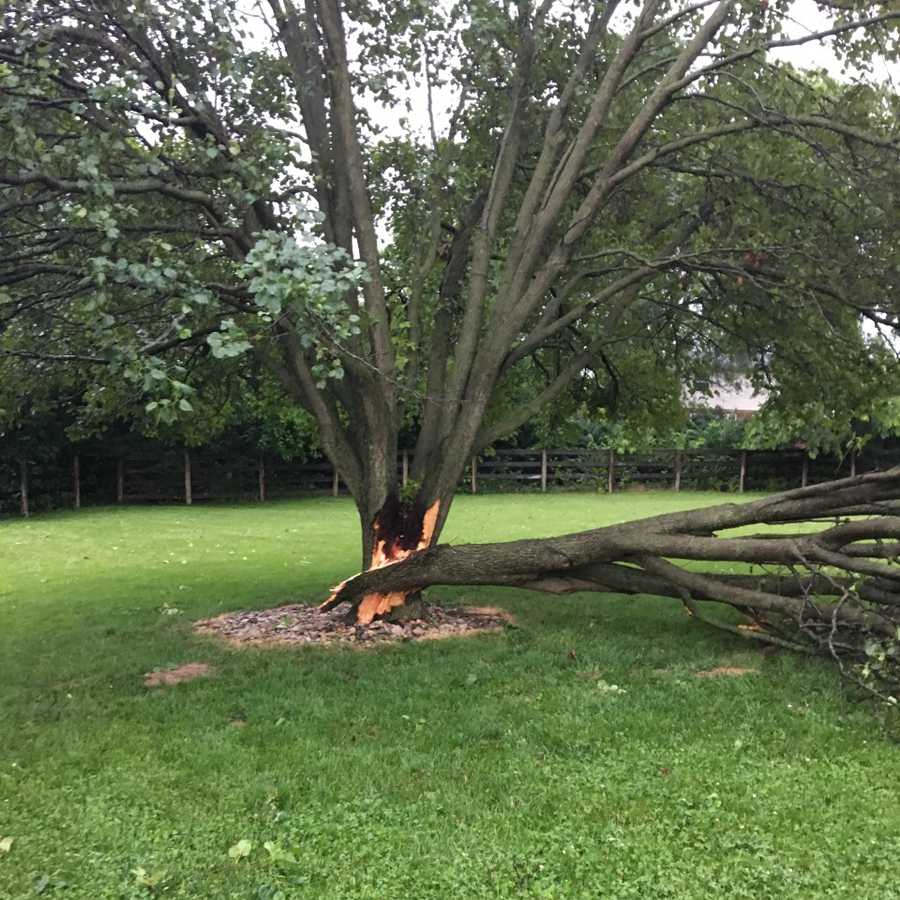 Severe storm damage in Evendale, Ohio.