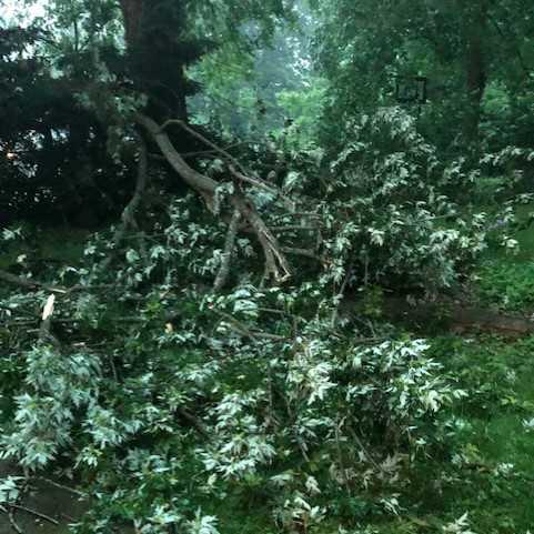 Severe storm damage in Pleasant Ridge in Cincinnati, Ohio