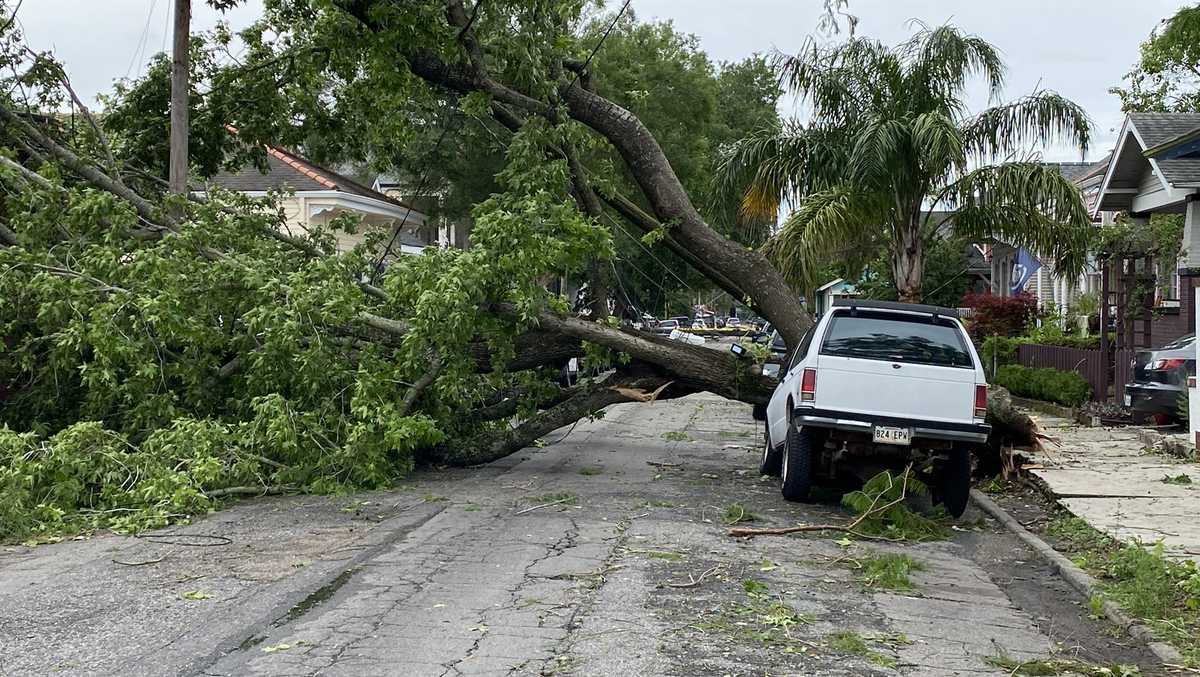 Nearby legal professional offers lawful advice forward of upcoming hurricane time Nearby legal professional offers lawful advice forward of upcoming hurricane time