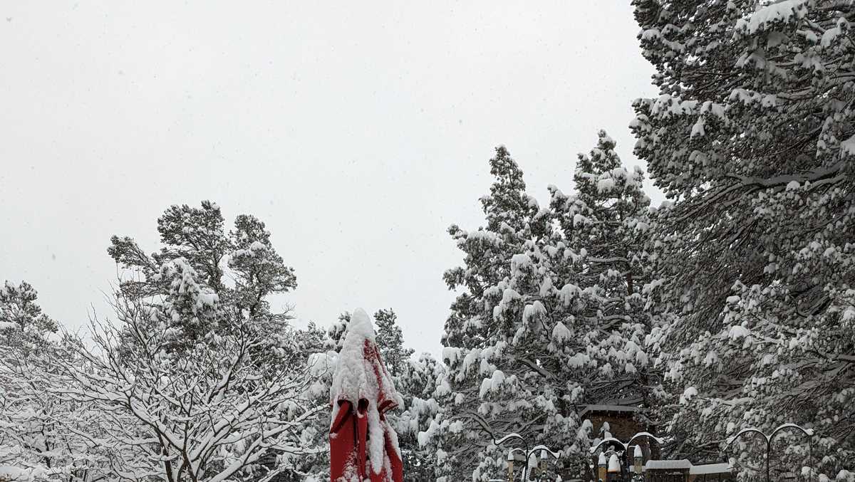 New Mexico Winter Storm Snow Totals