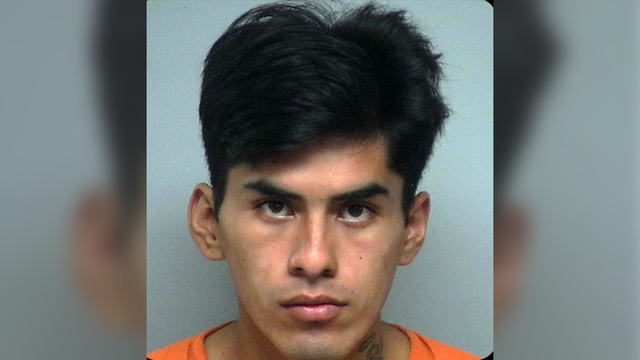 South Carolina murder suspect captured entering country illegally - Vimarsana News