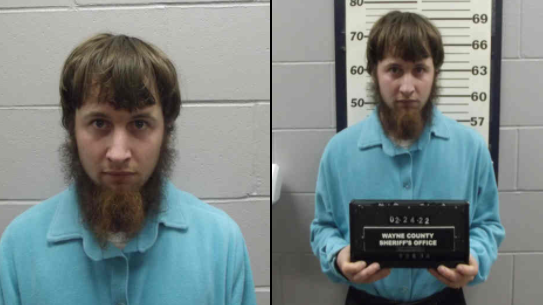 Former Iowa puppy mill owner Daniel Gingerich pleads guilty - Vimarsana News
