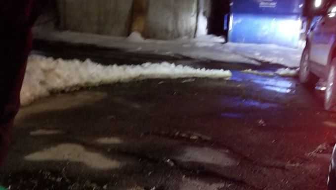 Dog found abandoned in freezing temps tied to street sign