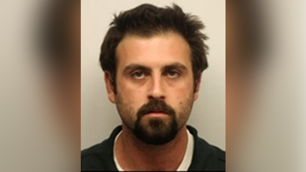 Chatham County man indicted on 9 child sex crime charges - WJCL