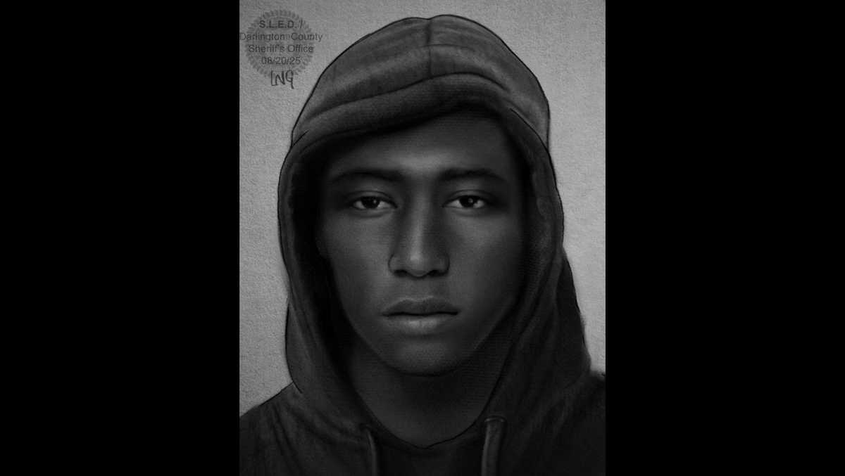 South Carolina deputies release sketch of suspect in armed carjacking and assault case