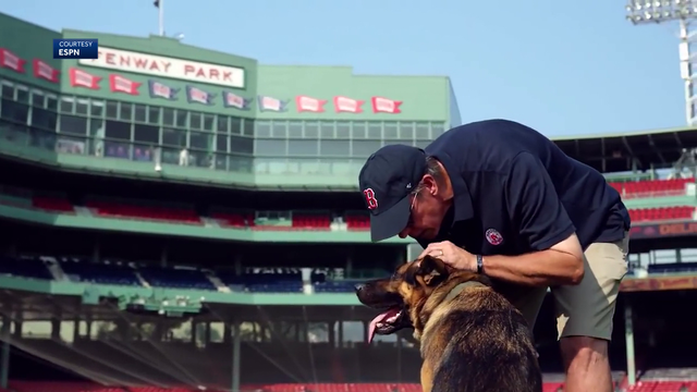 Red Sox family mourns Drago, beloved service dog of groundskeeper - Vimarsana News