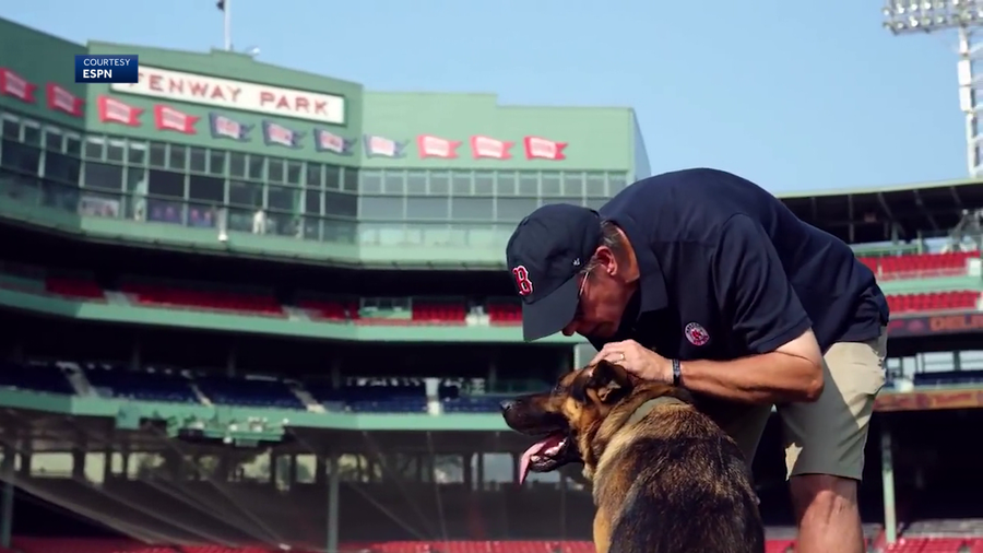 Red Sox Dog 