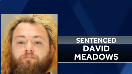 Lancaster County father pleads guilty in baby's drowning death - Vimarsana News