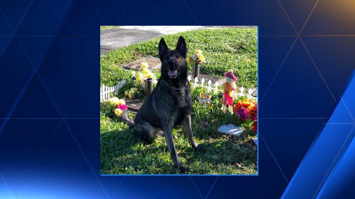K-9 pays tribute to Boynton Beach Police Officer