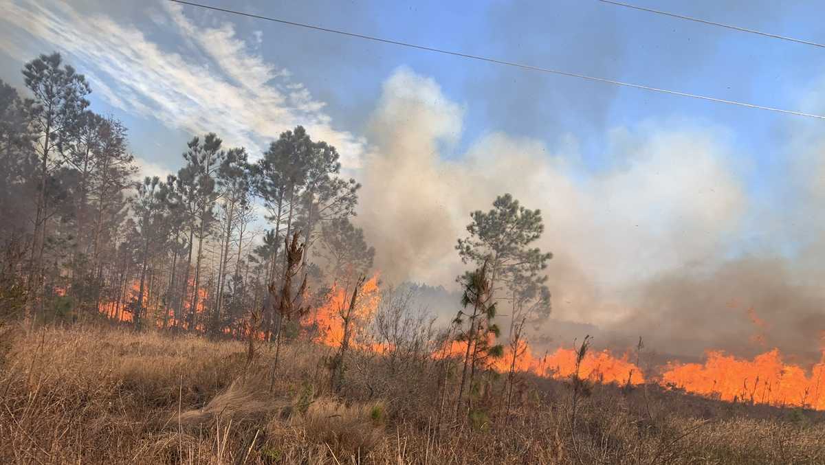 Firefighters battle 100-acre brush fire in Daytona Beach
