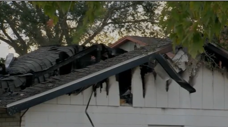 Daytona Beach veteran loses her home, service dogs in fire