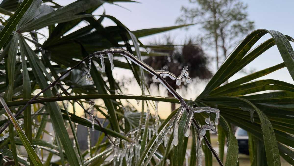 Video: Ice and snow flurries seen across Southwest Florida amid historic freeze