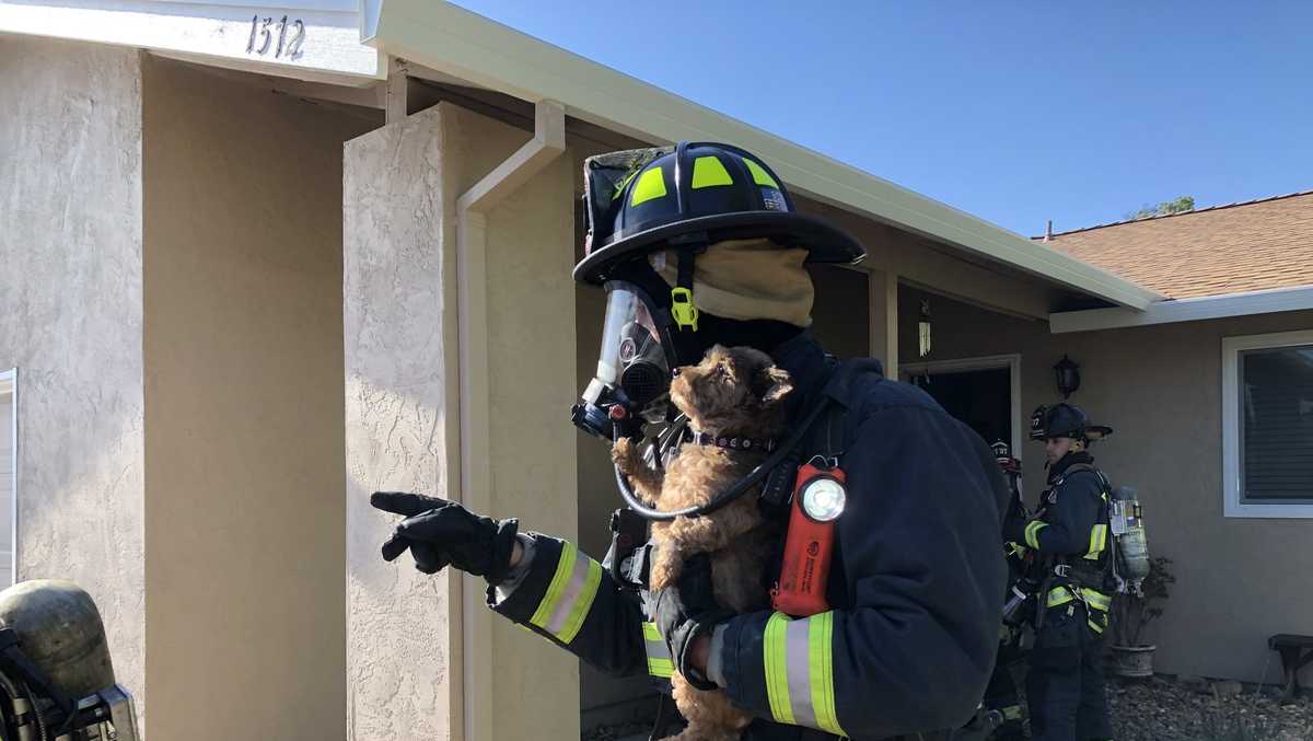 Firefighters save puppy from burning Fairfield home