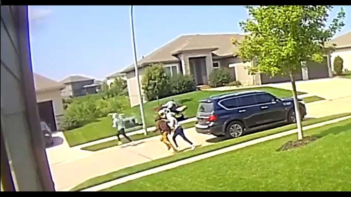 Douglas County youths allegedly robbed woman in her driveway