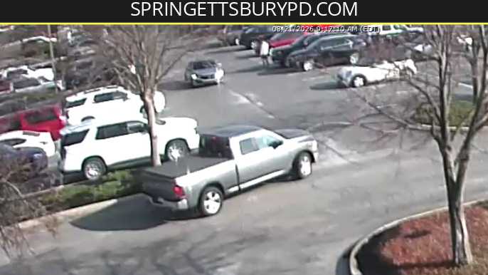 York County police search for pickup truck driver in hit-and-run