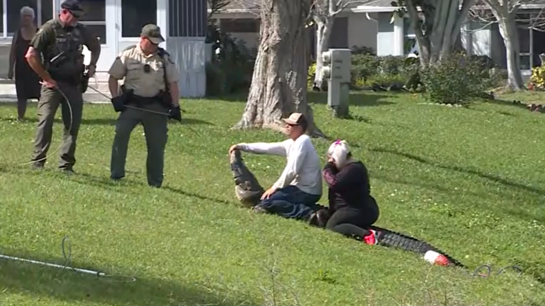 deadly gator attack