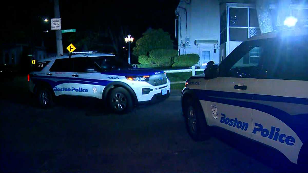 2 men dead after shooting in Boston's Hyde Park, officials say