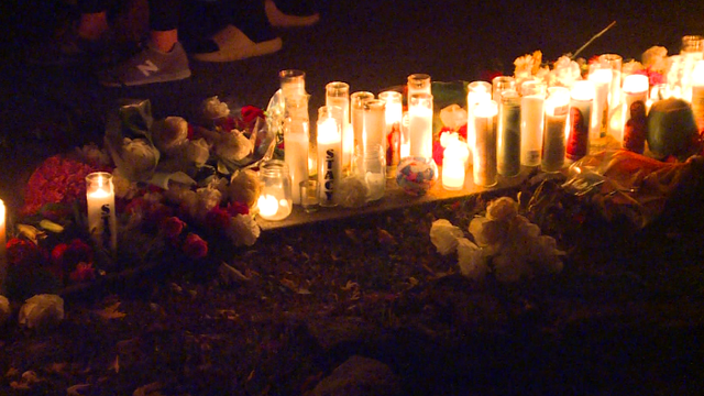 Indiana community comes together at vigil for mother of 5 shot and killed - Vimarsana News