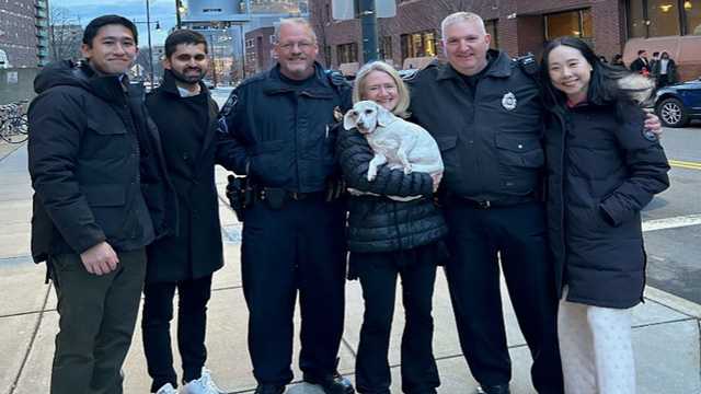 Mass. woman reunited with dog after car stolen with pet inside - Vimarsana News