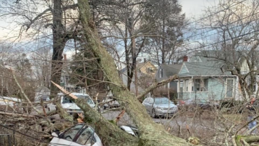 Strong winds bring down trees, crush vehicles, take out power lines