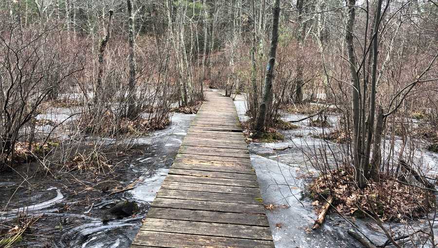File: Hiking trail, winter