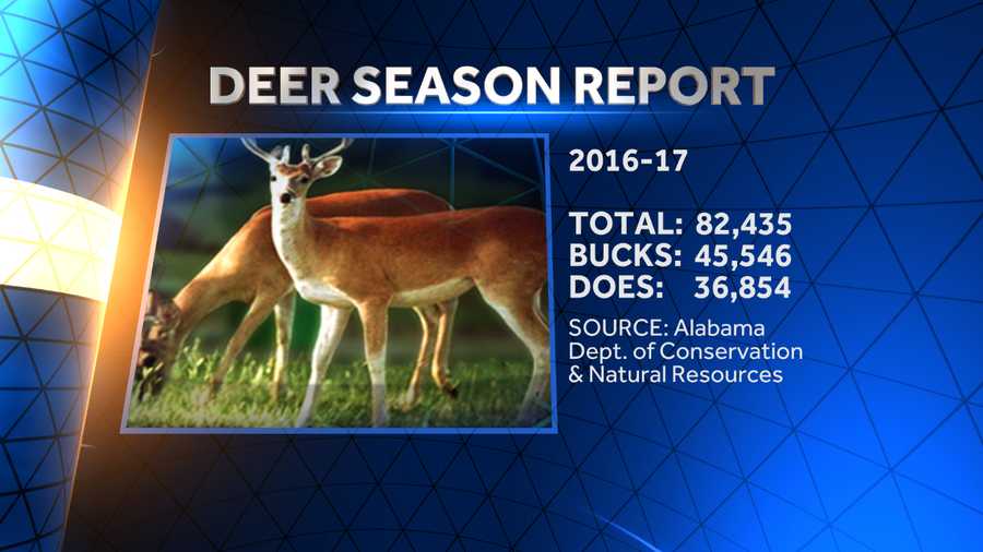 The Alabama Department of Conservation and Natural Resources says hunters killed more than 82,000 deer in Alabama this past hunting season.
