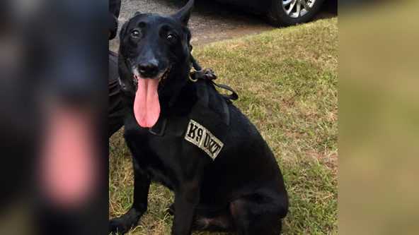 Georgia K9 shot, suspect killed after police receive 'suspicious person ...