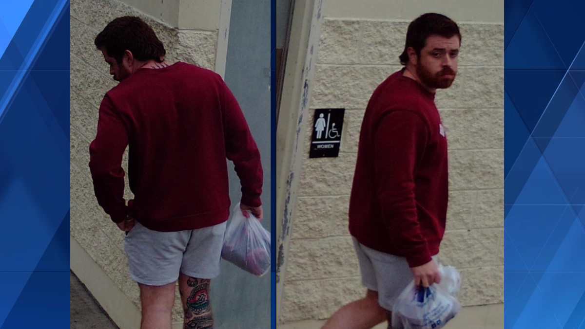 Delhi Township police arrest suspect in public indecency incident at