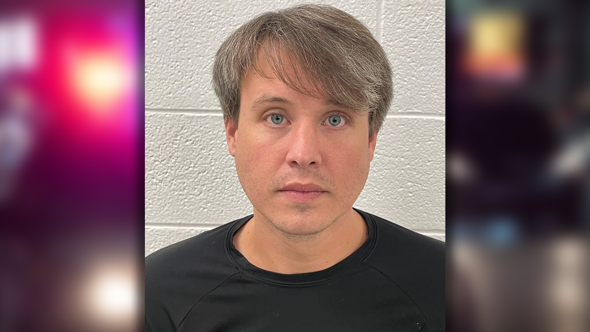 Registered sex offender in NC accused of possessing child porn - WYFF