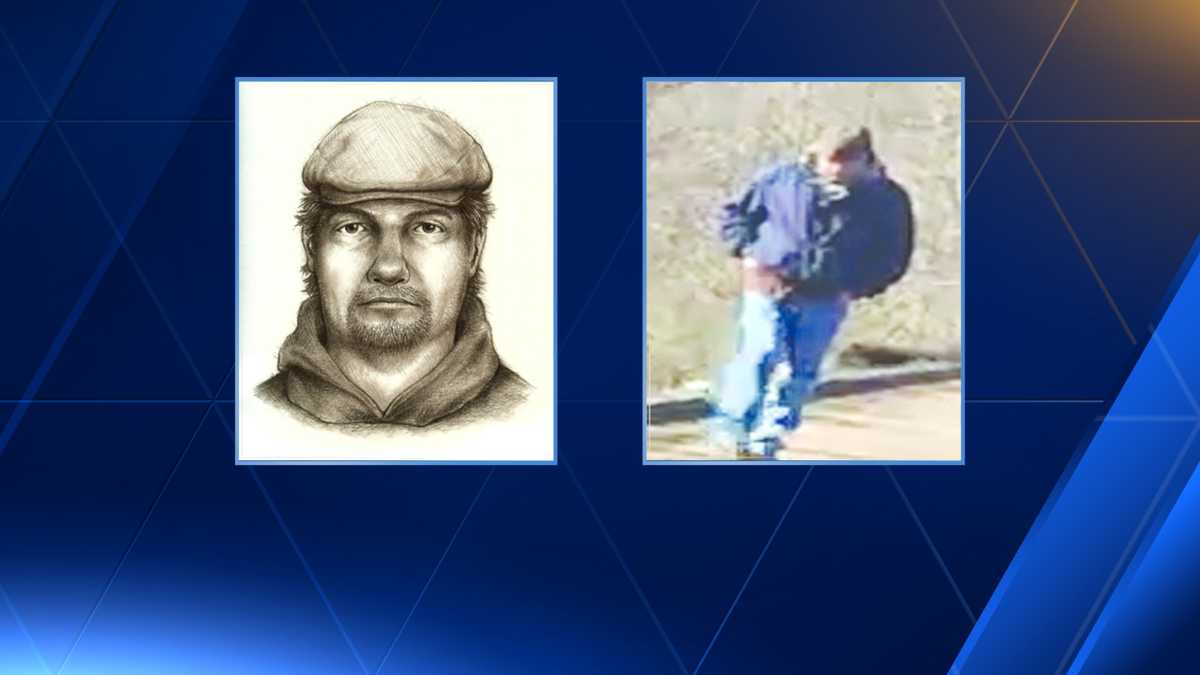 Police release suspect sketch in killing of teen girls in Delphi