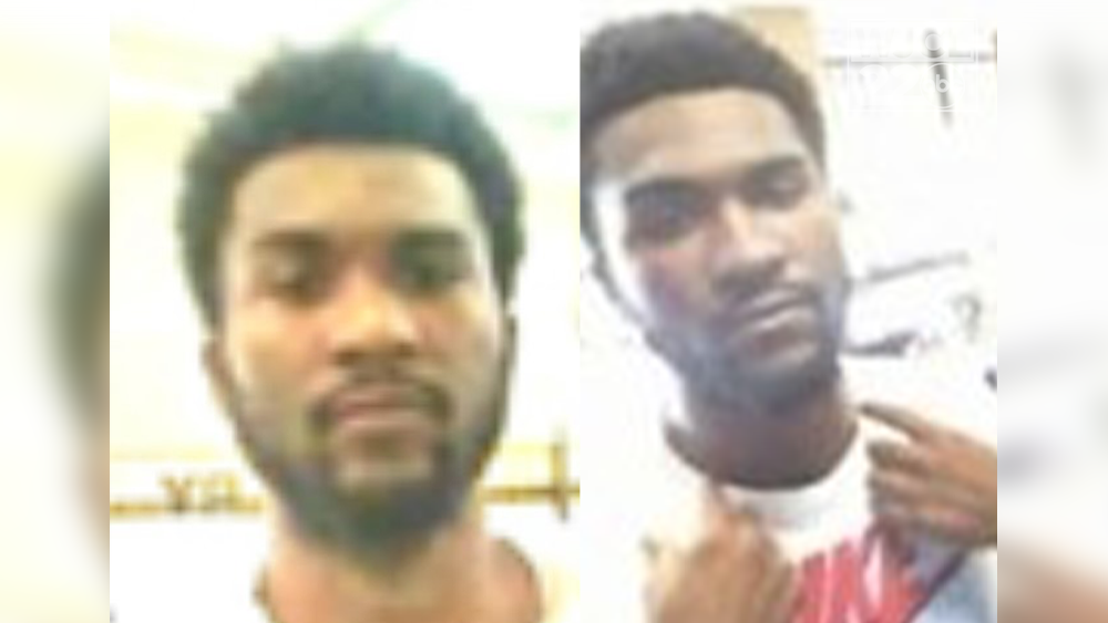 Georgia: Manhunt underway for murder suspect on the run - WJCL