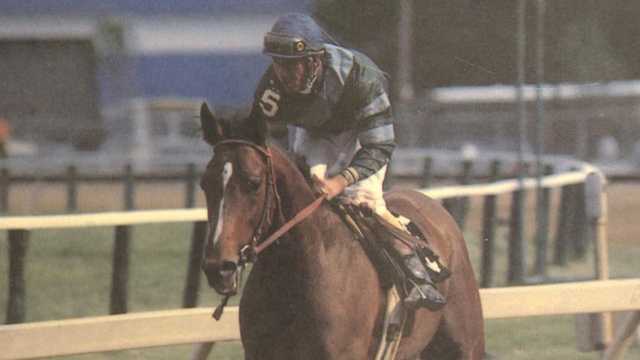 Deputed Testamony is last Maryland-bred horse to win Preakness - Vimarsana News