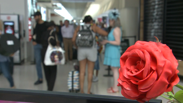 Kentucky Derby weekend beats hotel occupancy expectations - Vimarsana News