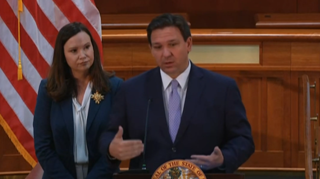 Democratic lawmakers call DeSantis' redistricting proposal unfair - Vimarsana News