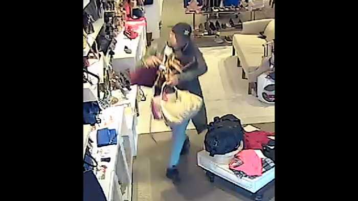 Help identify thief who police say stole over $5,000 worth of designer ...