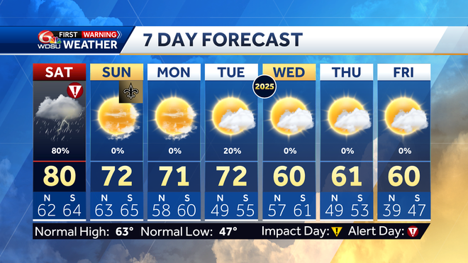 7 day forecast