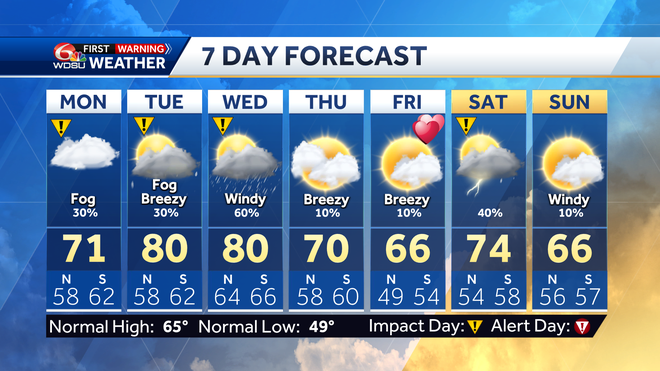 7 day forecast