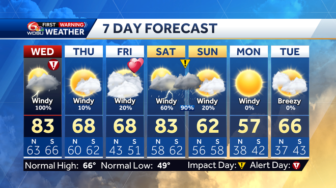 7 day forecast