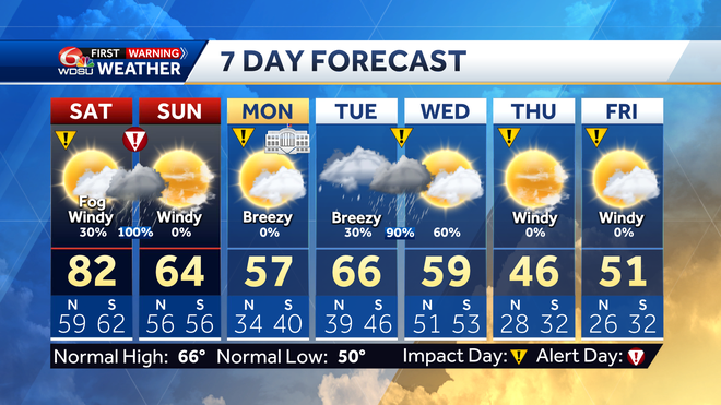 7 day forecast