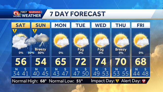 7 day forecast