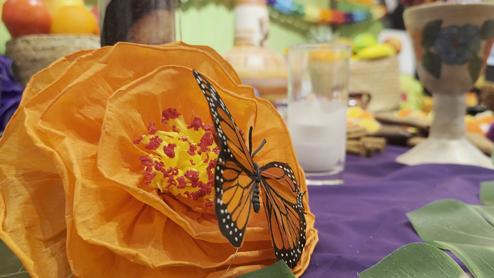 Celebrating Día de Muertos and protecting pollinators go together