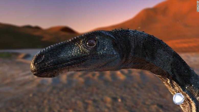 Experts say the small, desert-dwelling carnivore may be part of the T.rex and Velociraptor lineage.