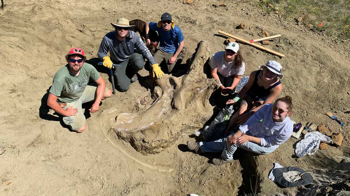  Undergraduate students from a Missouri college recently made a once-in-a-lifetime discovery during an expedition to the Badlands of South Dakota. Acc