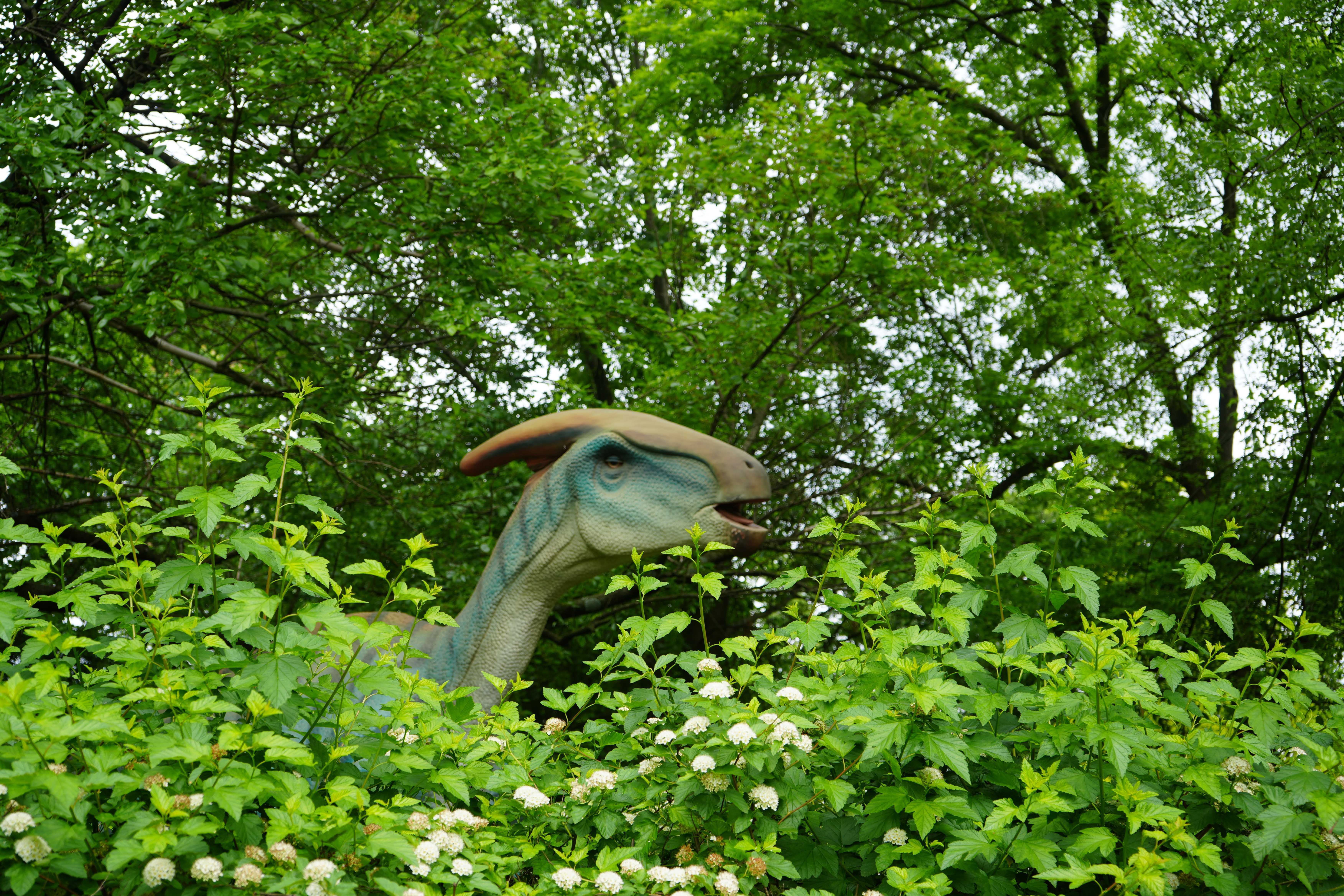 Louisville Zoo's 'Dinopalooza' to feature 19 giant animatronic