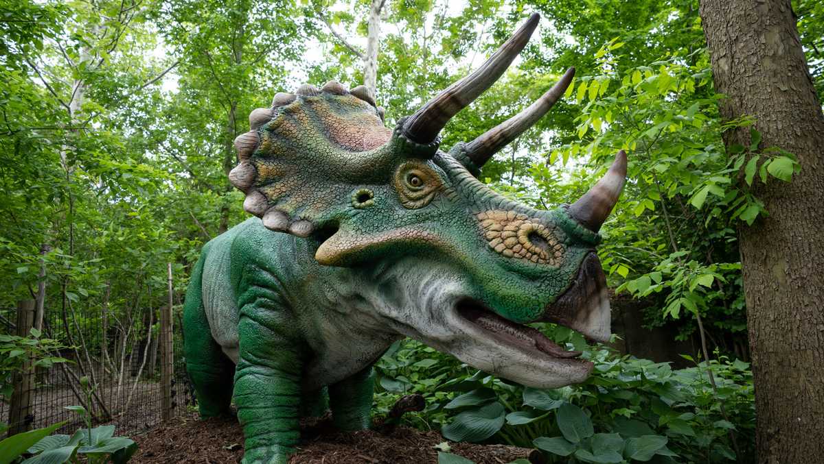 Dinosaur Island: Explore animatronic dinosaurs at Ohio zoo